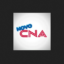 CNA: Consultores(as) Comerciais